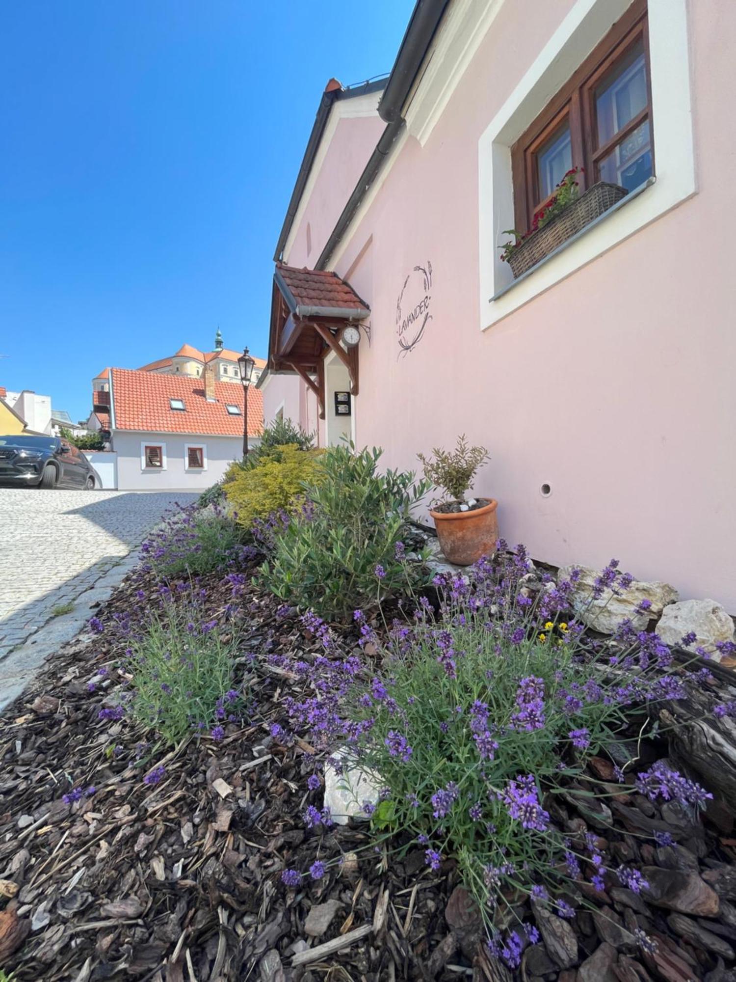 Apartmany Lavander מיקולוב מראה חיצוני תמונה